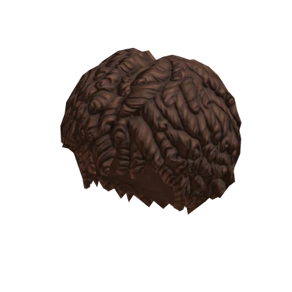 Free Roblox Curly Afro Brown Hair